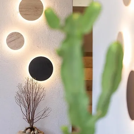 Euphorbia Milii Apartment