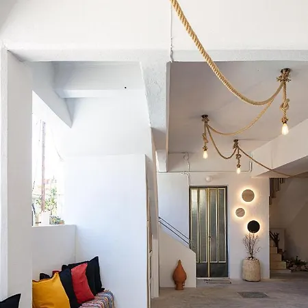Euphorbia Milii Apartment